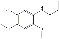 N-(butan-2-yl)-5-chloro-2,4-dimethoxyaniline Struktur