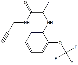 N-(prop-2-yn-1-yl)-2-{[2-(trifluoromethoxy)phenyl]amino}propanamide Struktur