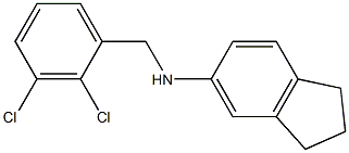 N-[(2,3-dichlorophenyl)methyl]-2,3-dihydro-1H-inden-5-amine Struktur