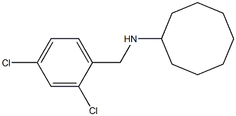 N-[(2,4-dichlorophenyl)methyl]cyclooctanamine Struktur