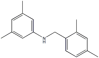 N-[(2,4-dimethylphenyl)methyl]-3,5-dimethylaniline Struktur