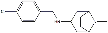 N-[(4-chlorophenyl)methyl]-8-methyl-8-azabicyclo[3.2.1]octan-3-amine Struktur