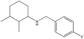 N-[(4-fluorophenyl)methyl]-2,3-dimethylcyclohexan-1-amine Struktur