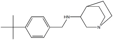 N-[(4-tert-butylphenyl)methyl]-1-azabicyclo[2.2.2]octan-3-amine Struktur