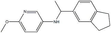 N-[1-(2,3-dihydro-1H-inden-5-yl)ethyl]-6-methoxypyridin-3-amine Struktur