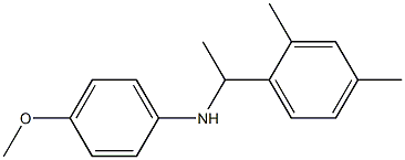 N-[1-(2,4-dimethylphenyl)ethyl]-4-methoxyaniline Struktur