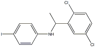 N-[1-(2,5-dichlorophenyl)ethyl]-4-iodoaniline Struktur