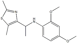 N-[1-(2,5-dimethyl-1,3-thiazol-4-yl)ethyl]-2,4-dimethoxyaniline Struktur