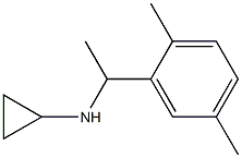 N-[1-(2,5-dimethylphenyl)ethyl]cyclopropanamine Struktur