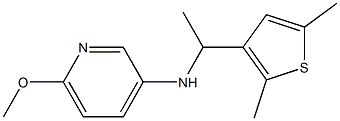 N-[1-(2,5-dimethylthiophen-3-yl)ethyl]-6-methoxypyridin-3-amine Struktur