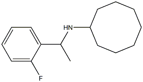 N-[1-(2-fluorophenyl)ethyl]cyclooctanamine Struktur