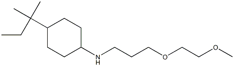 N-[3-(2-methoxyethoxy)propyl]-4-(2-methylbutan-2-yl)cyclohexan-1-amine Struktur