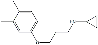 N-[3-(3,4-dimethylphenoxy)propyl]cyclopropanamine Struktur