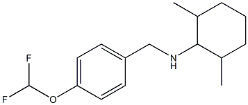 N-{[4-(difluoromethoxy)phenyl]methyl}-2,6-dimethylcyclohexan-1-amine Struktur