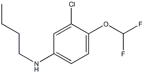 N-butyl-3-chloro-4-(difluoromethoxy)aniline Struktur