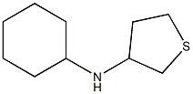 N-cyclohexylthiolan-3-amine Struktur