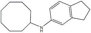 N-cyclooctyl-2,3-dihydro-1H-inden-5-amine Struktur