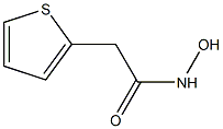 N-hydroxy-2-thien-2-ylacetamide Struktur