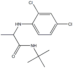 N-tert-butyl-2-[(2,4-dichlorophenyl)amino]propanamide Struktur