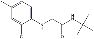 N-tert-butyl-2-[(2-chloro-4-methylphenyl)amino]acetamide Struktur