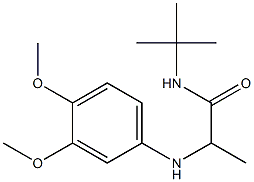 N-tert-butyl-2-[(3,4-dimethoxyphenyl)amino]propanamide Struktur