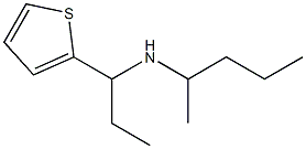 pentan-2-yl[1-(thiophen-2-yl)propyl]amine Struktur