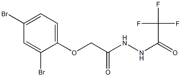 N'-[2-(2,4-dibromophenoxy)acetyl]-2,2,2-trifluoroacetohydrazide Struktur