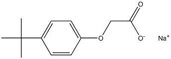 sodium 2-[4-(tert-butyl)phenoxy]acetate Struktur