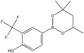 2-(Trifluoromethyl)-4-(4,4,6-trimethyl-1,3,2-dioxaborinan-2-yl)phenol Struktur