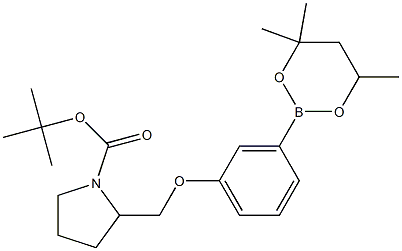 tert-Butyl 2-{[3-(4,4,6-trimethyl-1,3,2-dioxaborinan-2-yl)phenoxy]methyl}pyrrolidine-1-carboxylate Struktur