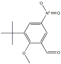 3-tert-Butyl-2-methoxy-5-nitrobenzenecarbaldehyde Struktur