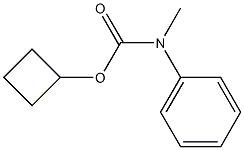 N-Methyl-N-phenylcarbamic acid cyclobutyl ester Struktur