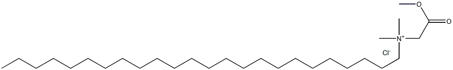 N-Methoxycarbonylmethyl-N,N-dimethyltetracosylammonium chloride Struktur