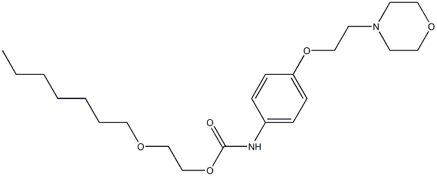 4-(2-Morpholinoethoxy)phenylcarbamic acid 2-(heptyloxy)ethyl ester Struktur