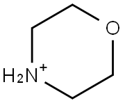 4-Azoniamorpholine Struktur