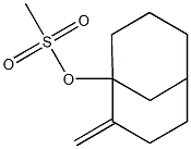 1-(Methanesulfonyloxy)-2-methylenebicyclo[3.3.1]nonane Struktur