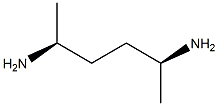 (1S,4S)-1,4-Dimethyl-1,4-butanediamine Struktur