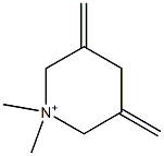 1,1-Dimethyl-3,5-dimethylenepiperidinium Struktur