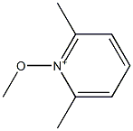 2,6-Dimethyl-1-methoxypyridinium Struktur