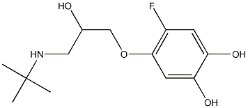 4-(3-tert-Butylamino-2-hydroxypropyloxy)-5-fluorobenzene-1,2-diol Struktur