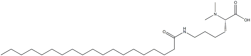 N6-Nonadecanoyl-N2,N2-dimethyllysine Struktur