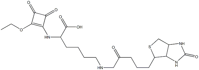 2-[(2-Ethoxy-3,4-dioxo-1-cyclobuten-1-yl)amino]-6-[[2-oxo-5-[(hexahydro-2-oxo-1H-thieno[3,4-d]imidazol)-4-yl]pentyl]amino]hexanoic acid Struktur