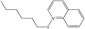 1-Hexyloxyquinolinium Struktur