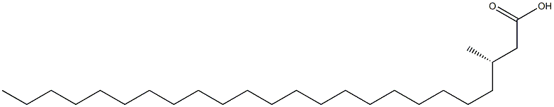 [S,(-)]-3-Methyltetracosanoic acid Struktur