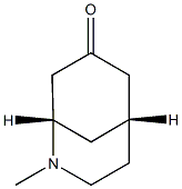 (1S,5R)-2-Methyl-2-azabicyclo[3.3.1]nonan-7-one Struktur