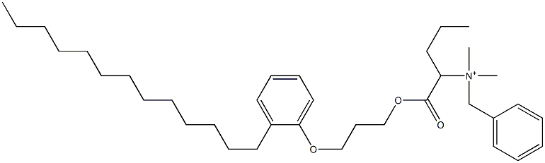 N,N-Dimethyl-N-benzyl-N-[1-[[3-(2-tridecylphenyloxy)propyl]oxycarbonyl]butyl]aminium Struktur