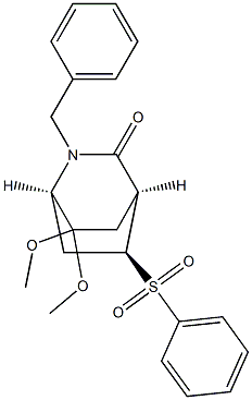 (1R,4S,5S)-2-Benzyl-7,7-dimethoxy-5-(phenylsulfonyl)-2-azabicyclo[2.2.2]octan-3-one Struktur