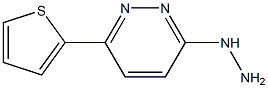 1-[6-(2-Thienyl)pyridazin-3-yl]hydrazine Struktur