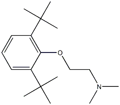 N,N-Dimethyl-2-(2,6-di-tert-butylphenoxy)ethanamine Struktur