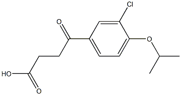 4-(3-Chloro-4-isopropyloxyphenyl)-4-oxobutyric acid Struktur